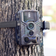 Illustration for article titled New Best Trail Camera 2018 Guidesem/em